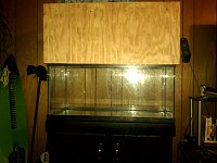Click image for larger version

Name:	canopy2.jpg
Views:	765
Size:	137.6 KB
ID:	6845