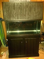 Click image for larger version

Name:	tank02.jpg
Views:	779
Size:	101.9 KB
ID:	6853