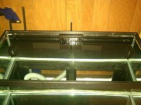 Click image for larger version

Name:	tank03.jpg
Views:	783
Size:	170.9 KB
ID:	6855