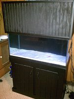 Click image for larger version

Name:	tank04.jpg
Views:	745
Size:	98.6 KB
ID:	6856