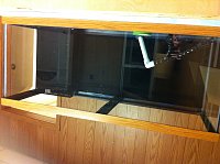 Click image for larger version

Name:	IMG_1325.jpg
Views:	768
Size:	120.0 KB
ID:	7085