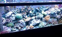 Click image for larger version

Name:	IMAG0234.jpg
Views:	4196
Size:	162.7 KB
ID:	7186
