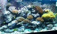 Click image for larger version

Name:	IMAG0239.jpg
Views:	4244
Size:	197.3 KB
ID:	7187