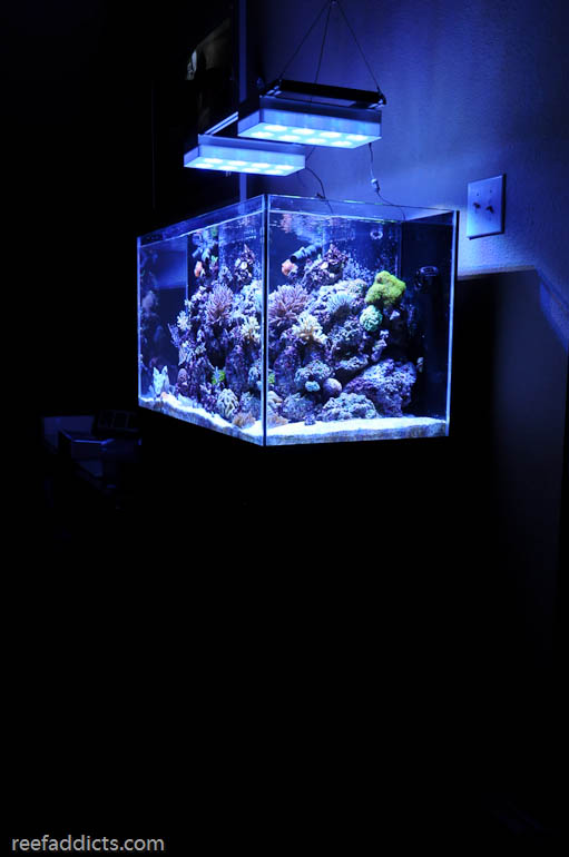 Name:  58g_bobby-1.jpg
Views: 3181
Size:  75.6 KB