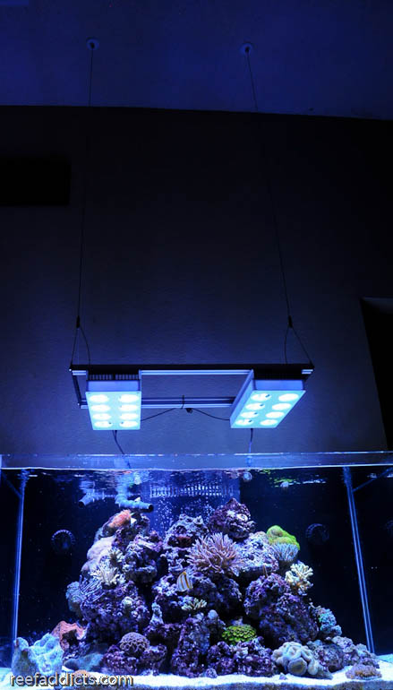 Name:  58g_bobby-6.jpg
Views: 1828
Size:  91.2 KB
