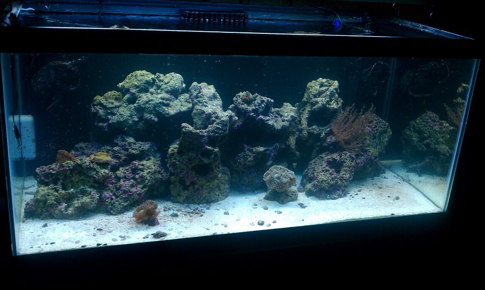 Name:  sepfts.jpg
Views: 1684
Size:  109.1 KB