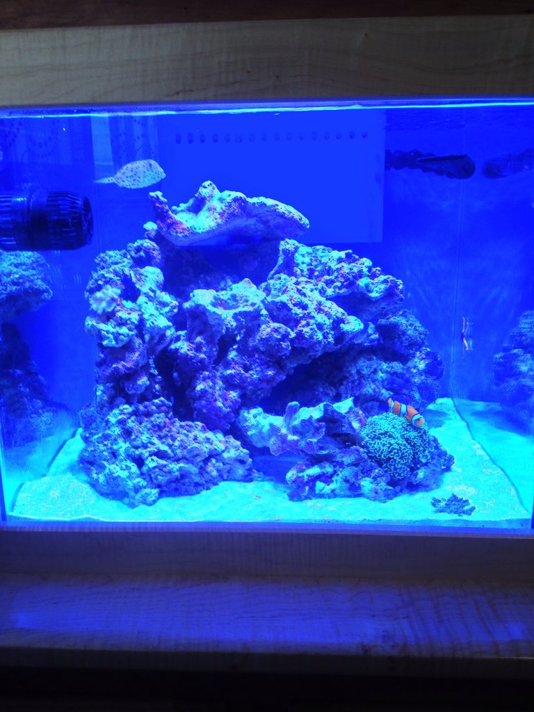 Name:  image.jpg
Views: 1110
Size:  141.5 KB