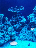 Click image for larger version

Name:	IMG_20121231_223308.jpg
Views:	1795
Size:	123.8 KB
ID:	7968