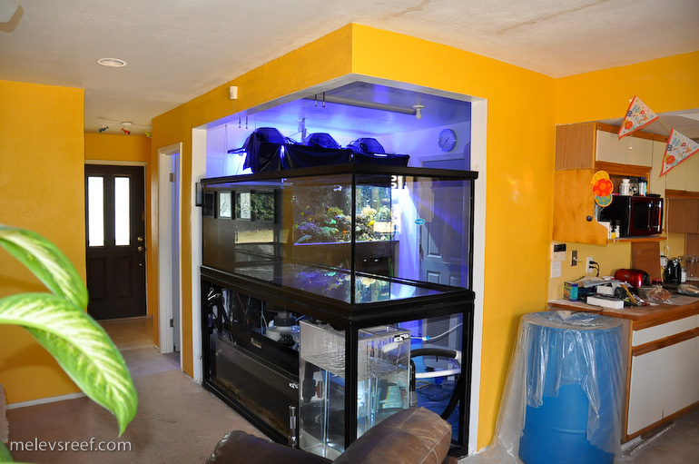 Name:  painted-area-over-tank.jpg
Views: 669
Size:  188.1 KB