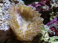 Click image for larger version

Name:	20130322_140004.jpg
Views:	1043
Size:	126.8 KB
ID:	8154