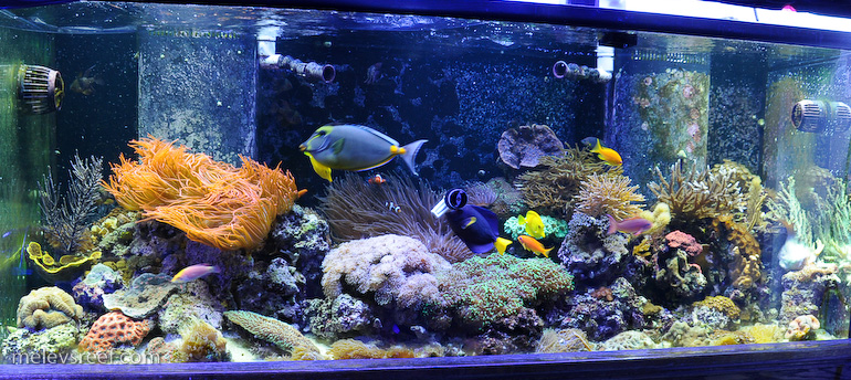 Name:  june-fts.jpg
Views: 6350
Size:  257.6 KB