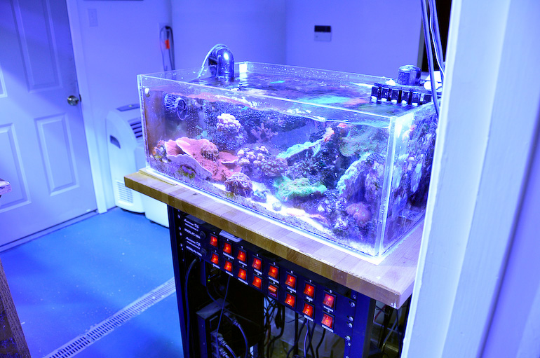 Name:  fragtank.jpg
Views: 8424
Size:  191.9 KB