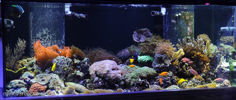 Name:  fts-july2013.jpg
Views: 1687
Size:  196.0 KB