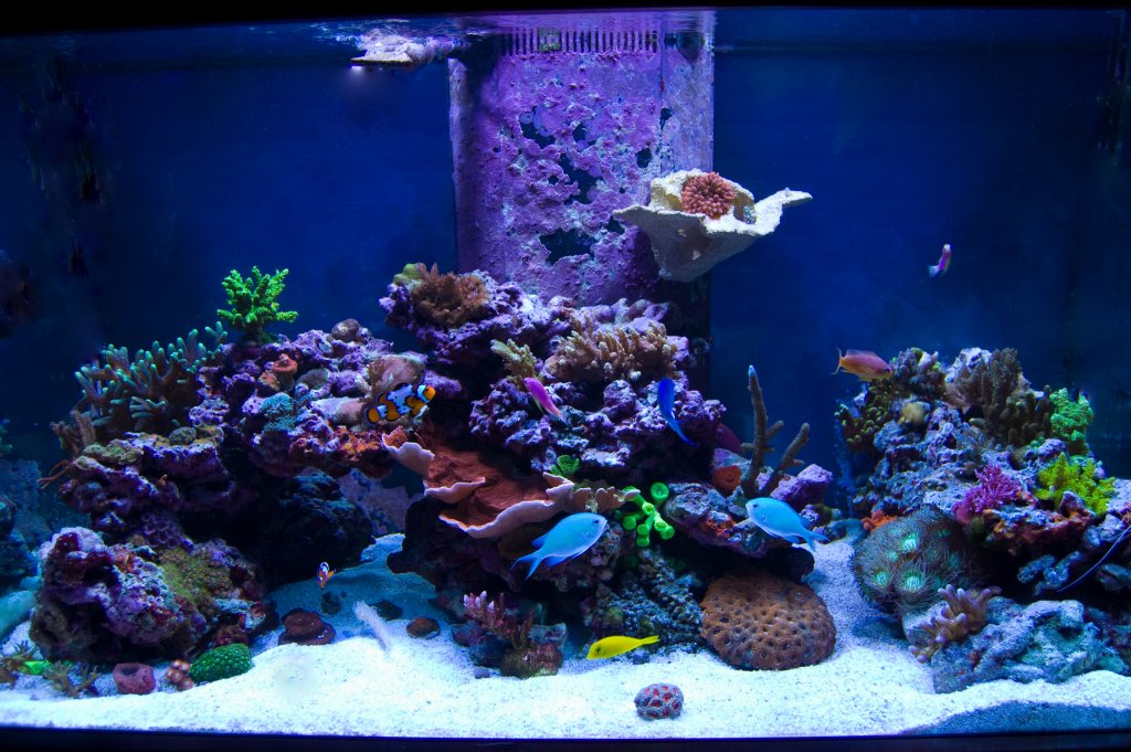 Name:  fts762013.jpg
Views: 1461
Size:  163.1 KB