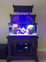 Click image for larger version

Name:	IMG_3745 (Medium).JPG
Views:	1126
Size:	37.9 KB
ID:	8483