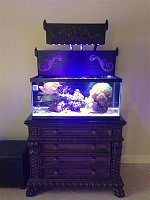 Click image for larger version

Name:	IMG_3747 (Medium).JPG
Views:	1093
Size:	37.3 KB
ID:	8484
