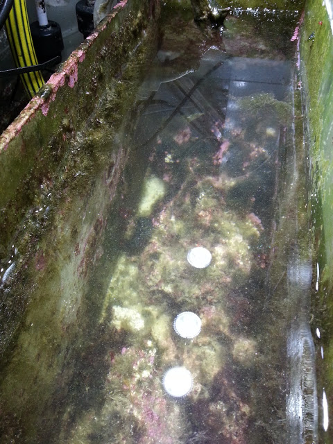 Name:  20130721_190706.jpg
Views: 253
Size:  121.6 KB