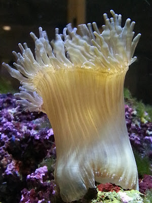 Name:  20130723_191111.jpg
Views: 534
Size:  44.9 KB