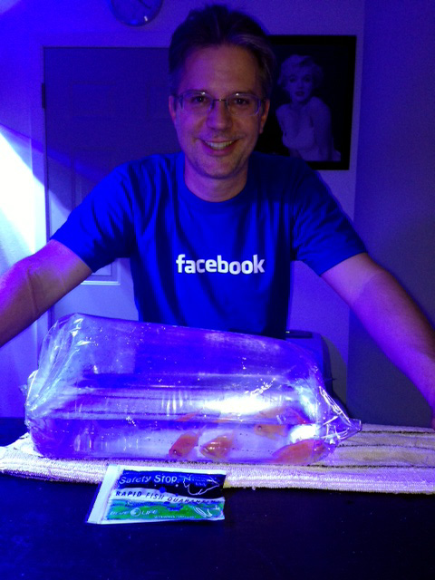Name:  fb-anthias.jpg
Views: 777
Size:  113.2 KB