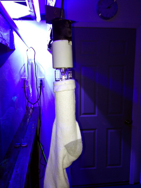Name:  MH-w-sock.JPG
Views: 1176
Size:  92.1 KB