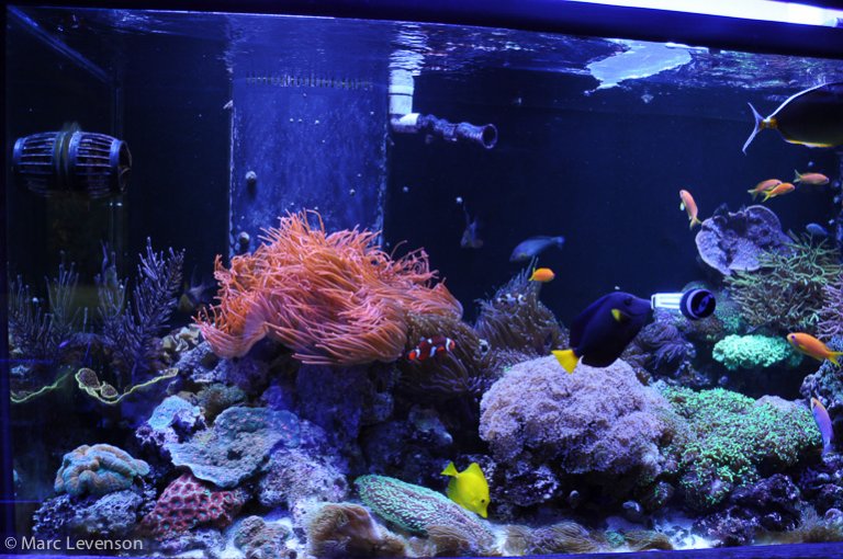 Name:  20k-twinarc-2.jpg
Views: 2907
Size:  102.5 KB
