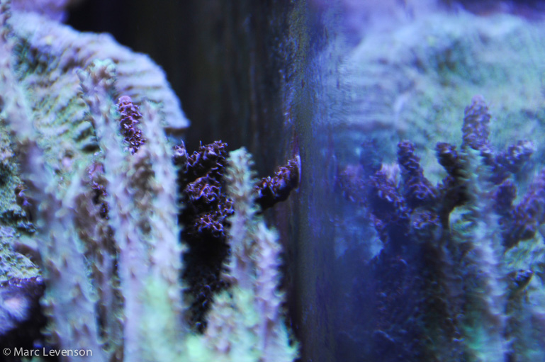 Name:  20k-twinarc-3.jpg
Views: 2474
Size:  191.4 KB