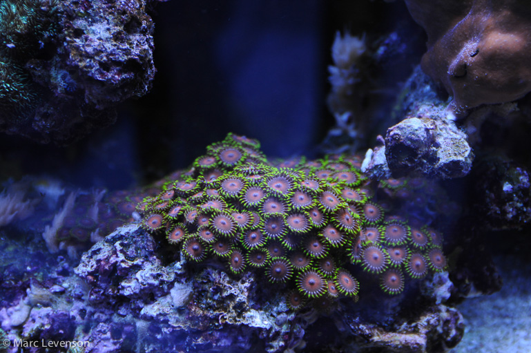 Name:  20k-twinarc-5.jpg
Views: 647
Size:  249.8 KB