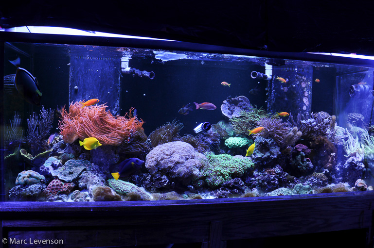 Name:  fts-20k-twinarc.jpg
Views: 2059
Size:  248.9 KB