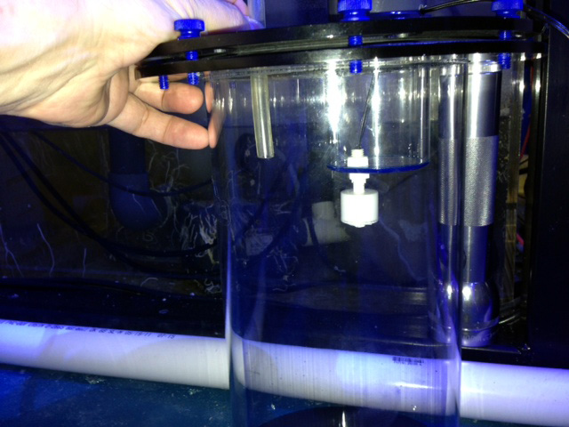 Name:  float-n-drain.jpg
Views: 952
Size:  101.4 KB