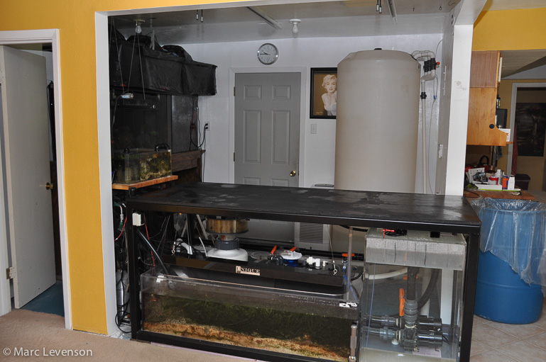 Name:  fishroom-before-tank-2.jpg
Views: 1570
Size:  172.4 KB