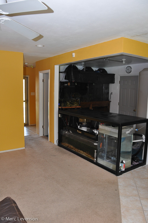 Name:  fishroom-before-tank-3.jpg
Views: 1658
Size:  149.3 KB