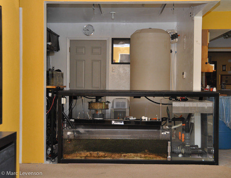 Name:  fishroom-before-tank.jpg
Views: 1457
Size:  187.9 KB