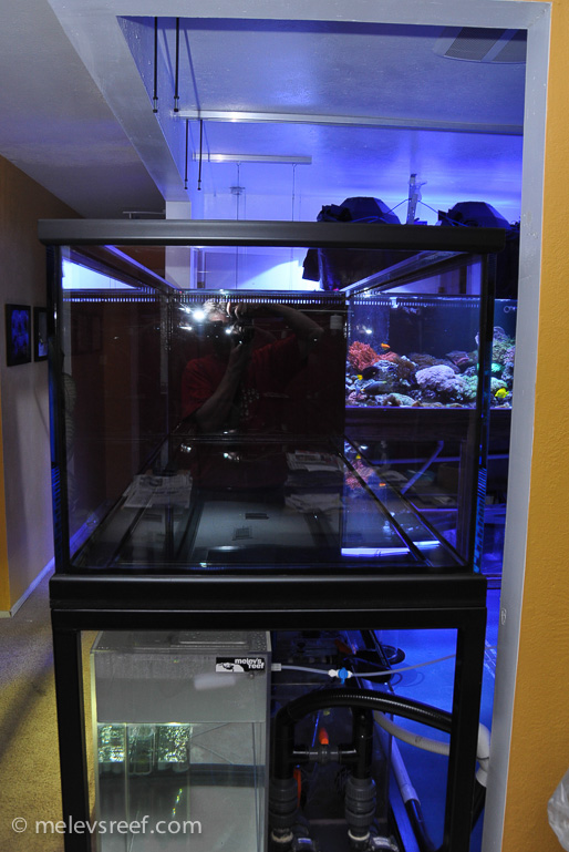 Name:  new-400g-eot.jpg
Views: 1387
Size:  187.5 KB