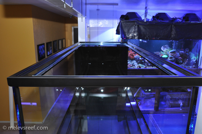 Name:  new-400g-eurobracing.jpg
Views: 1525
Size:  175.1 KB