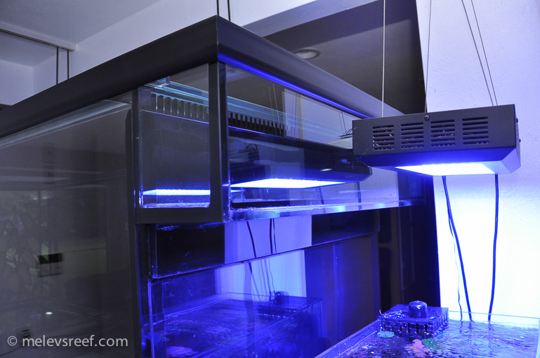 Name:  new-400g-ext-overflow-box.jpg
Views: 2202
Size:  176.3 KB