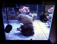Click image for larger version

Name:	P1040169 (Custom).jpg
Views:	941
Size:	169.1 KB
ID:	8719