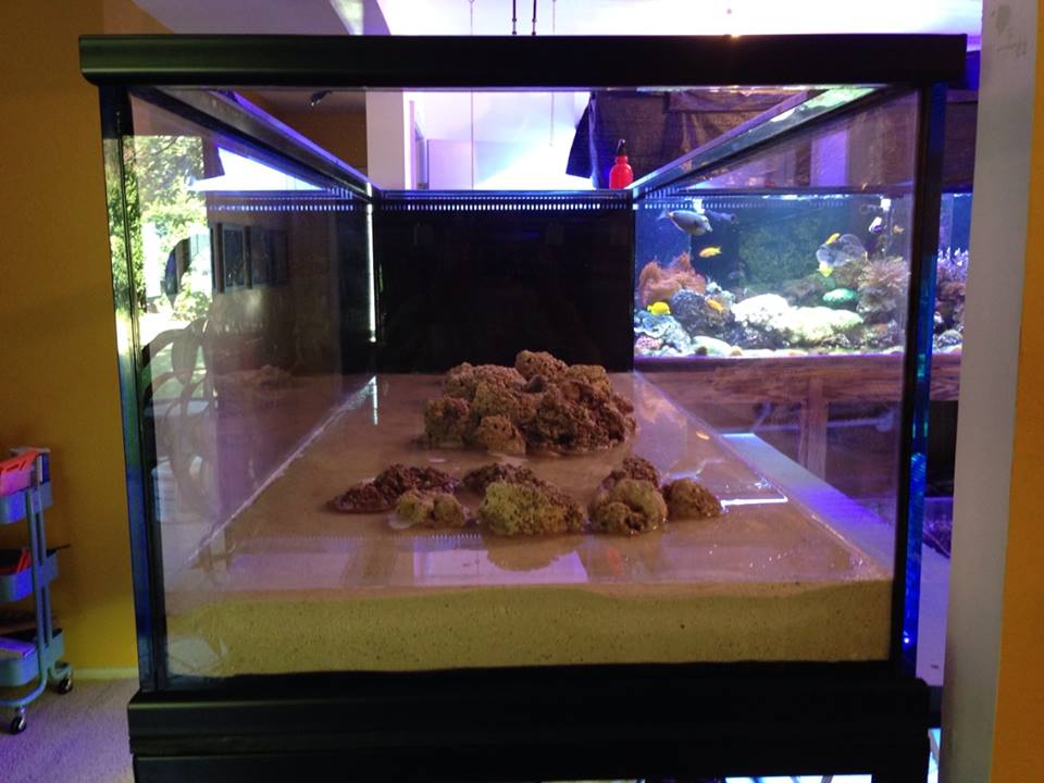Name:  400g-wet.jpg
Views: 2489
Size:  73.6 KB