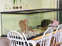 Click image for larger version

Name:	372.jpg
Views:	1550
Size:	123.8 KB
ID:	897