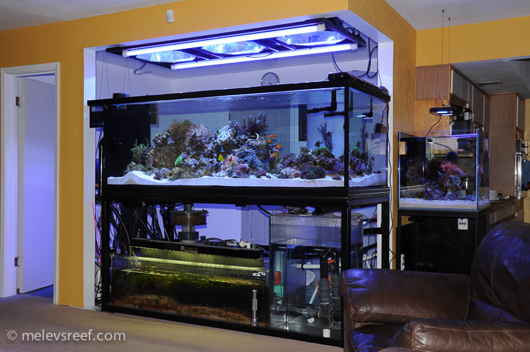 Name:  fts-11-25-13.jpg
Views: 454
Size:  221.8 KB