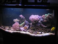 Click image for larger version

Name:	IMG_1519.jpg
Views:	662
Size:	69.7 KB
ID:	91