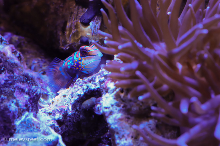 Name:  macro-friday-16.jpg
Views: 463
Size:  209.6 KB