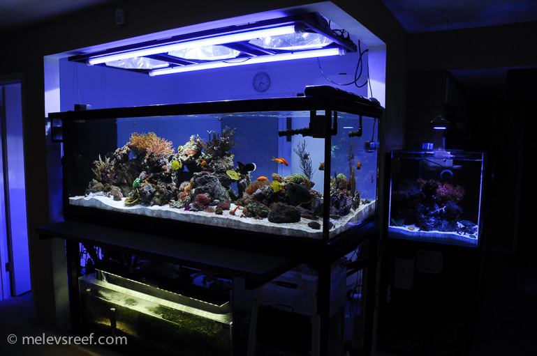 Name:  day32-121313.jpg
Views: 388
Size:  179.5 KB