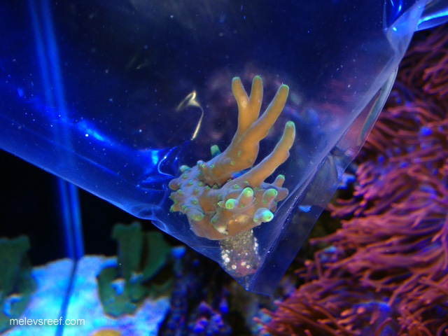 Name:  smooth-deepwater.jpg
Views: 590
Size:  109.4 KB
