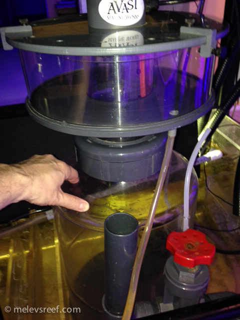 Name:  clean-cup.jpg
Views: 564
Size:  153.8 KB