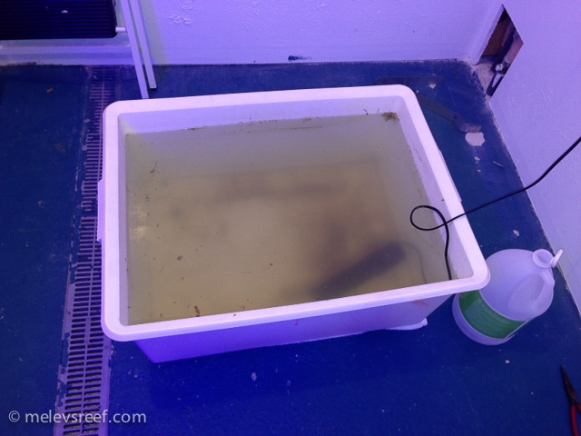 Name:  clean-vat.jpg
Views: 561
Size:  122.3 KB