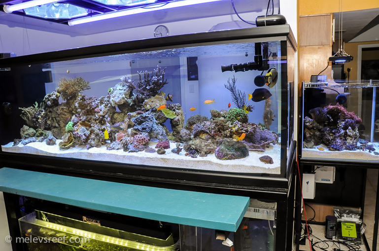 Name:  fts-121713.jpg
Views: 542
Size:  254.5 KB