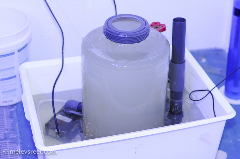 Name:  skimmer-soak.jpg
Views: 673
Size:  117.4 KB