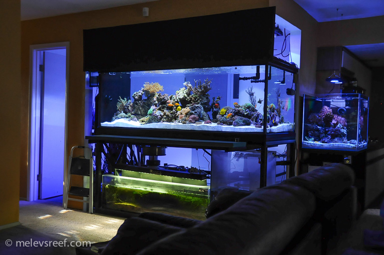 Name:  fts-010614.jpg
Views: 1210
Size:  181.1 KB