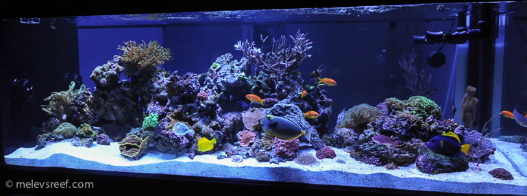 Name:  fts-angled-slightly.jpg
Views: 639
Size:  158.2 KB