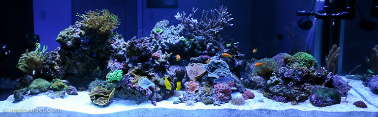 Name:  fts-cropped.jpg
Views: 533
Size:  115.8 KB